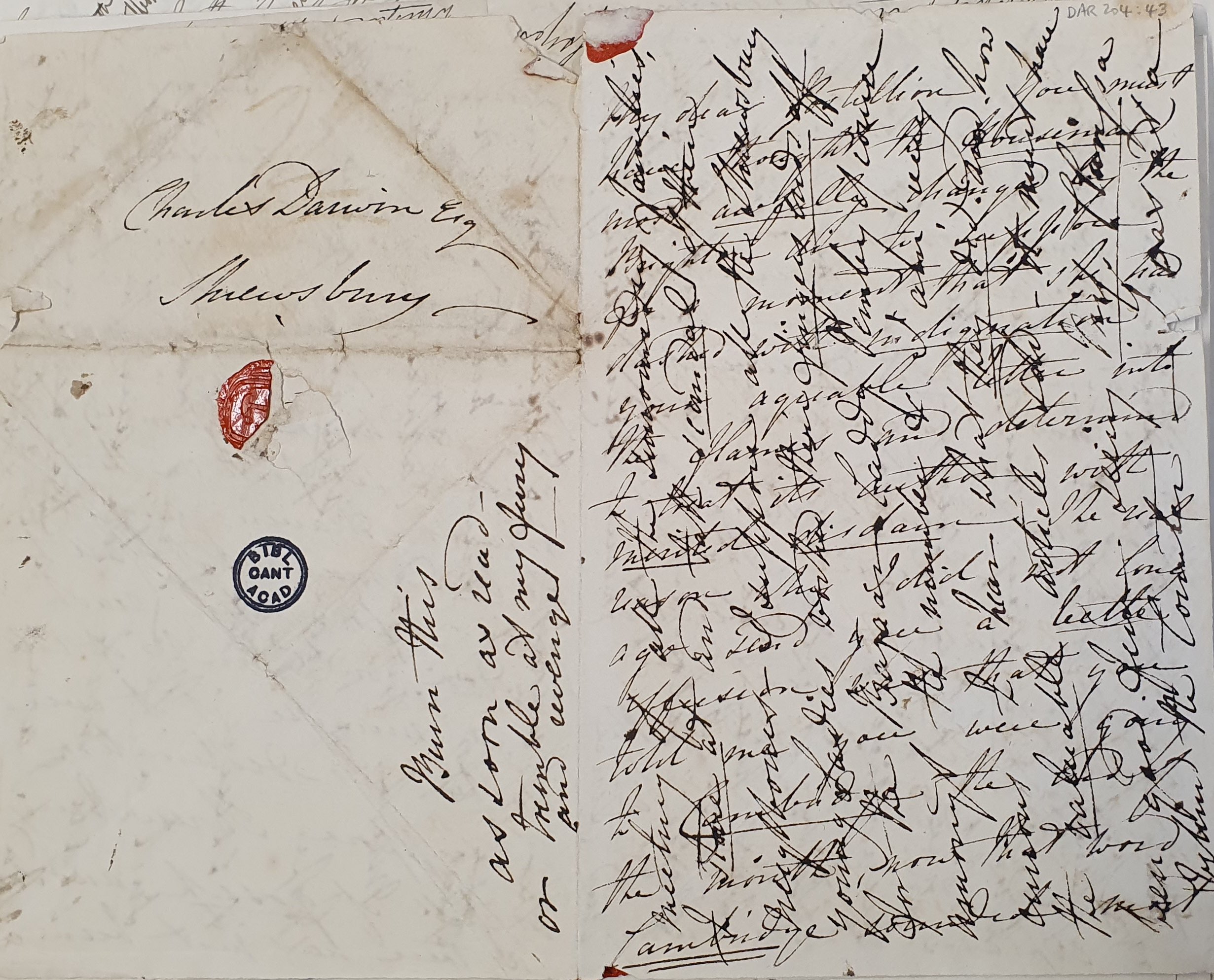 Letter from Fanny Owen, [late January 1828] (DAR 204: 43)
