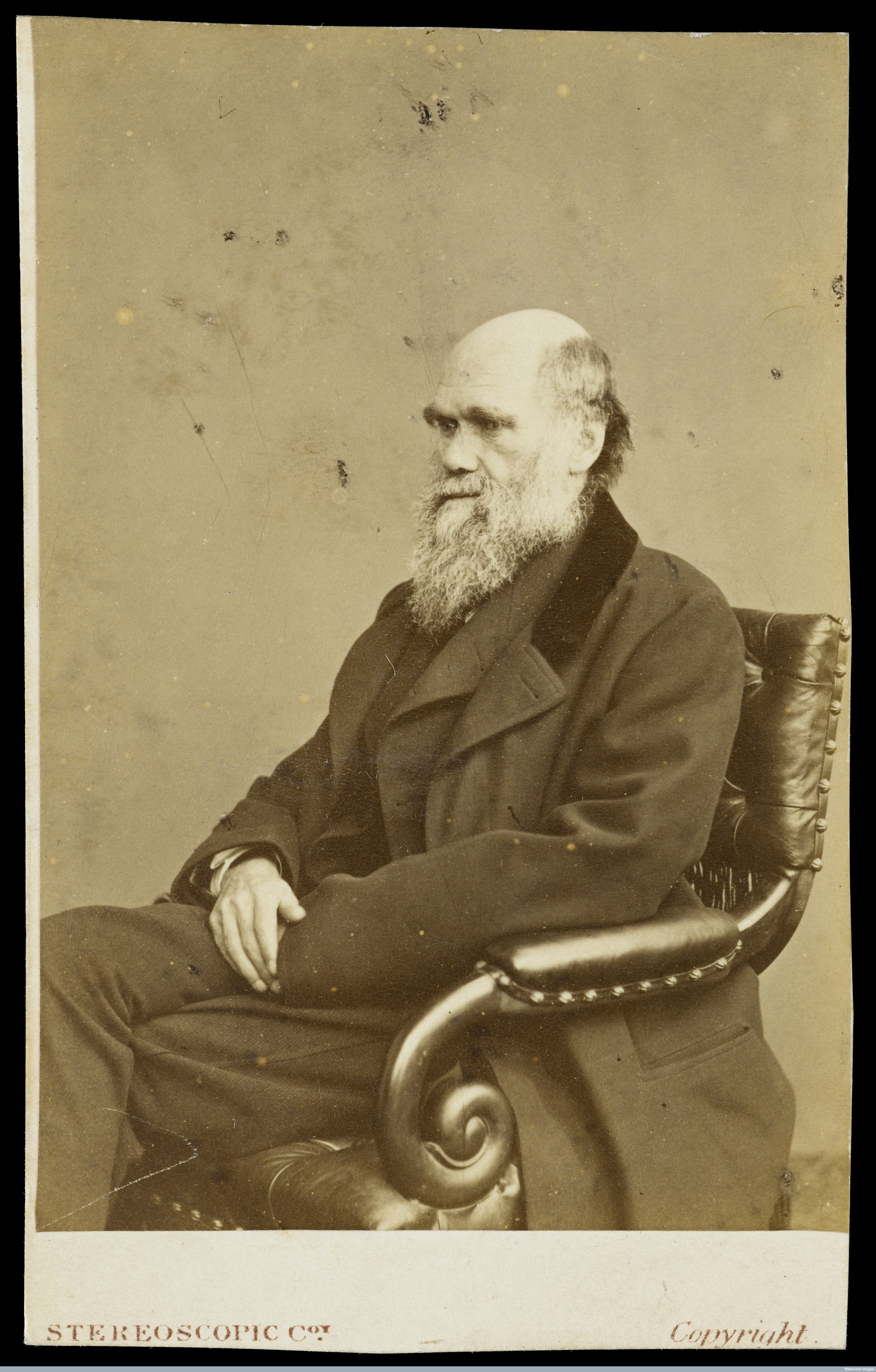 Charles Robert Darwin Charles Robert Darwin
