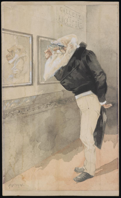 Caricature by George Montbard Caricature by George Montbard