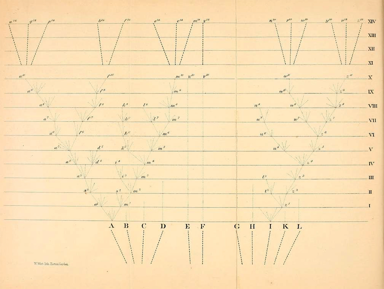 Divergence figure from the Origin of Species Divergence figure from the Origin of Species