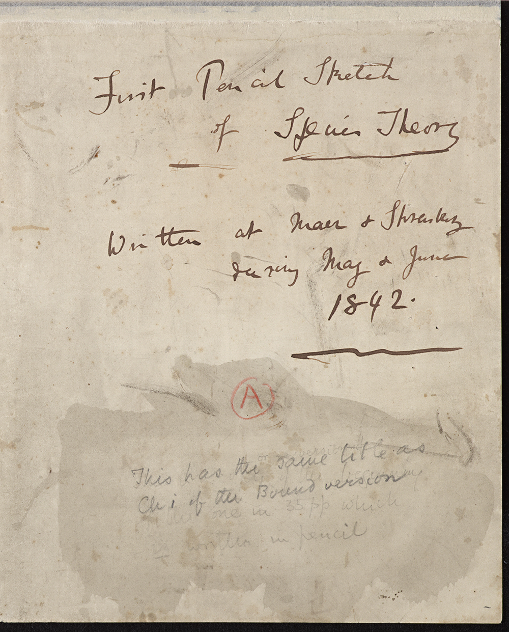 Cover sheet of Darwin's 1842 Pencil Sketch, in which he first uses the term 'Natural Selection' Cover sheet of Darwin's 1842 Pencil Sketch, in which he first uses the term 'Natural Selection'