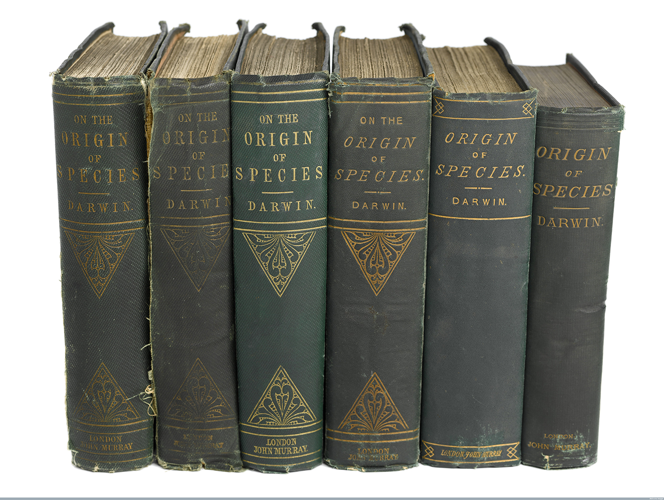 6 editions of 'The Origin of Species' by Charles Darwin 6 editions of 'The Origin of Species' by Charles Darwin