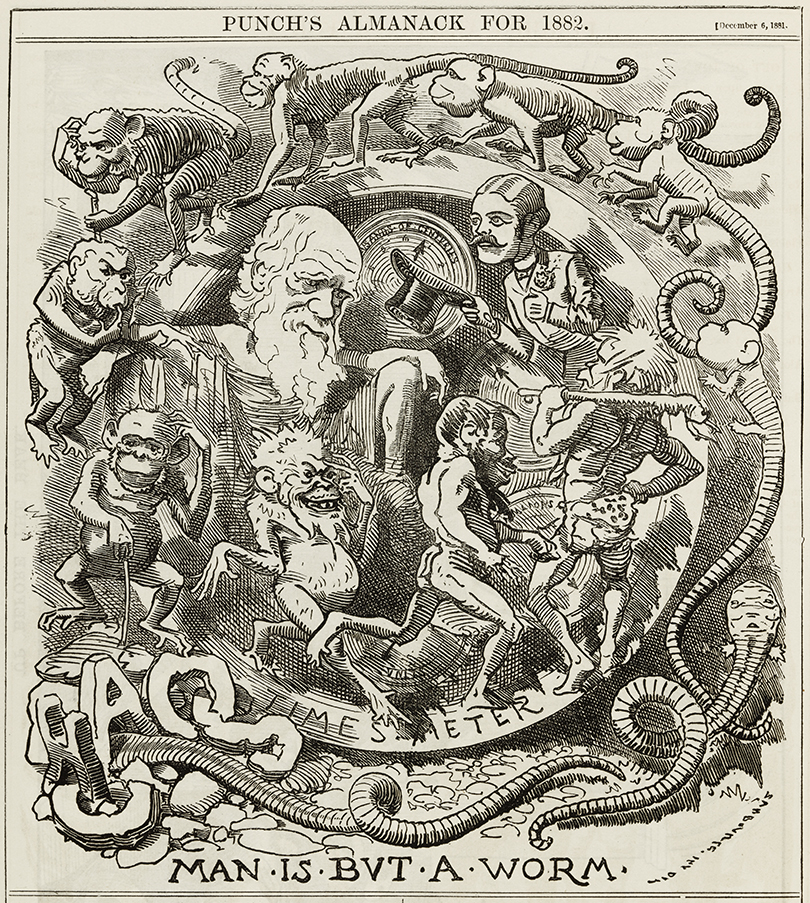 Man is but a worm - caricature of Darwin's theory in the Punch almanac for 1882 Man is but a worm - caricature of Darwin's theory in the Punch almanac for 1882