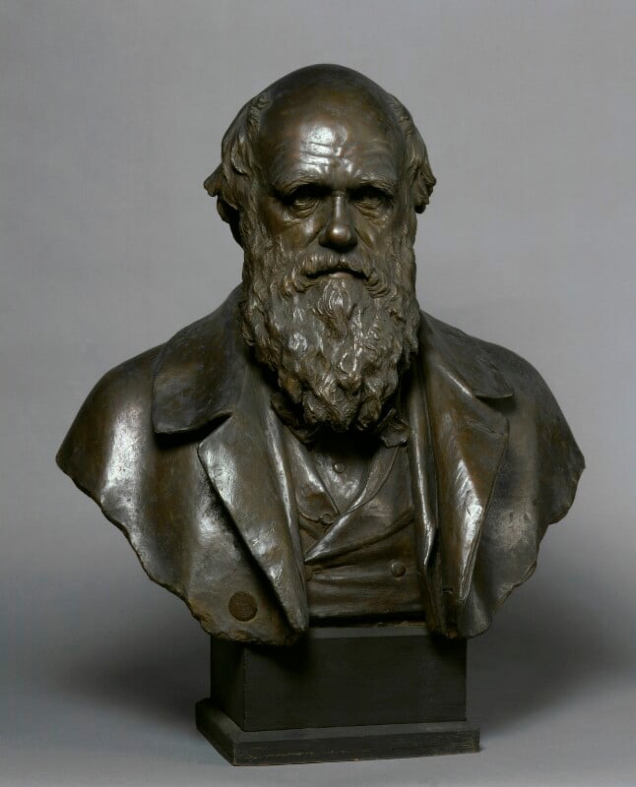 2.20 Montford, terracotta bust, NPG 2.20 Montford, terracotta bust, NPG